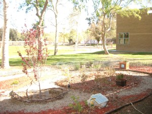 Don't forget the gardens- student projects, of course!